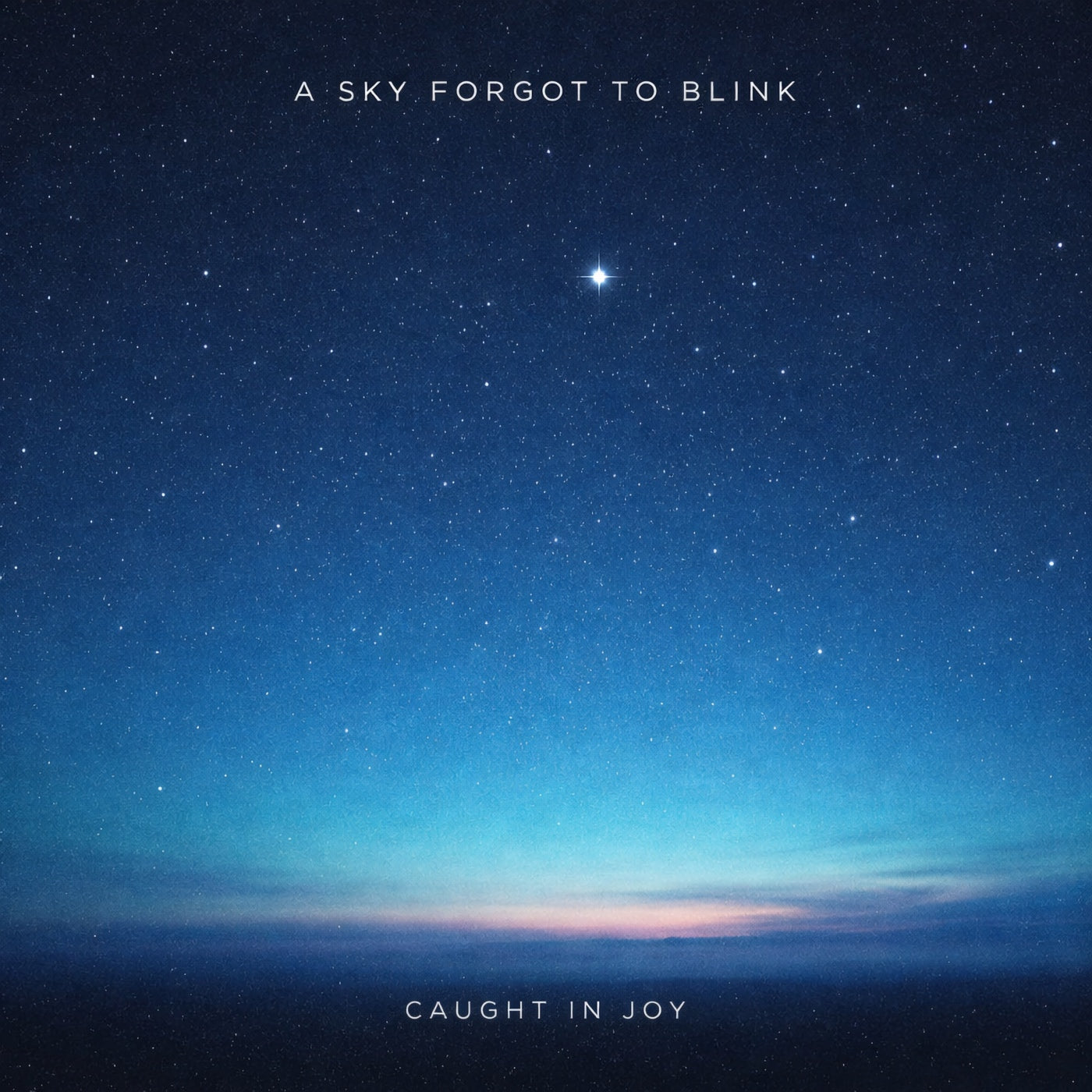 A Sky Forgot To Blink (double album)