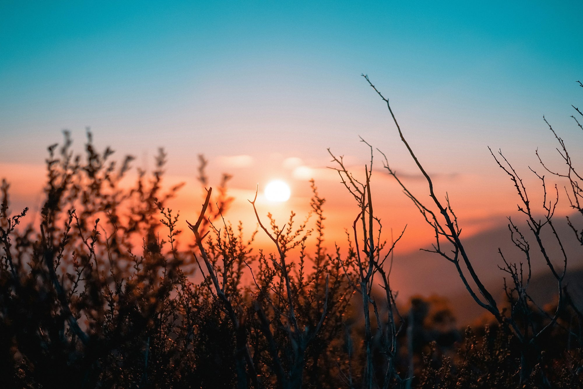 Friday morning background