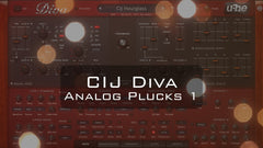 CIJ Diva Analog Plucks 1 product cover