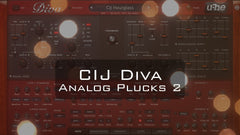 CIJ Diva Analog Plucks 2 product cover