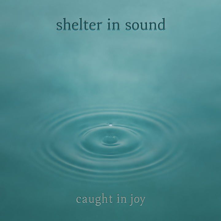 Shelter In Sound