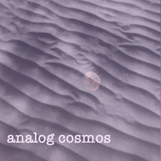 Analog cosmos I