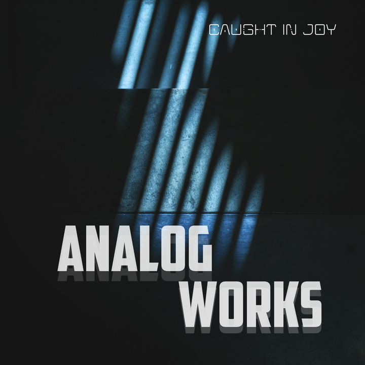 Analog Works 2026
