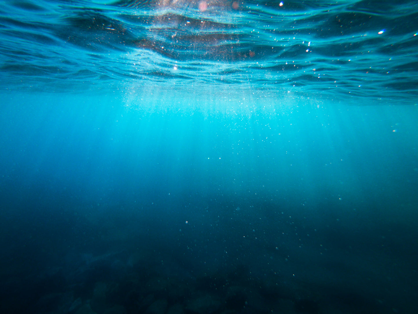Oceanic Dreamfields
