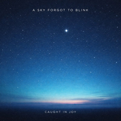 A Sky Forgot To Blink (double album)