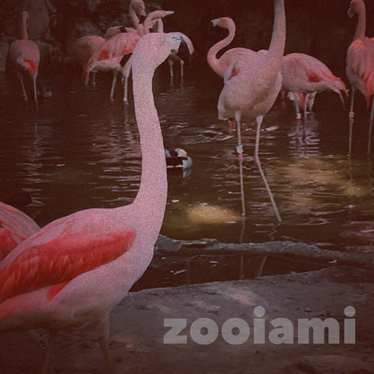 Zooiami