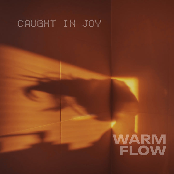 Warm Flow – Music Journeys For Deep Thinking (2h-45)
