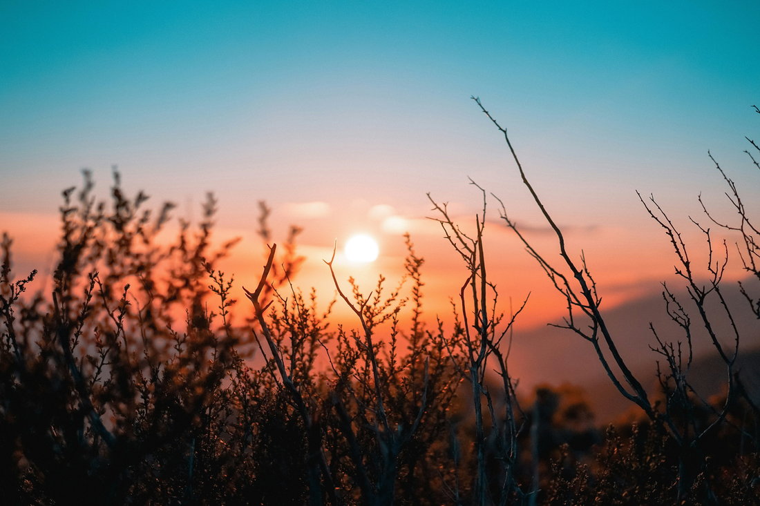 Friday morning background
